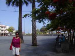 Resize of P21010208.JPG